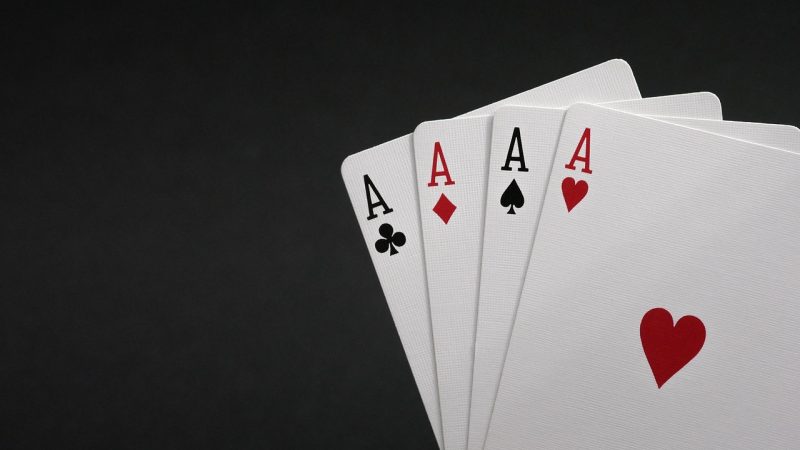 bbbs分区总览：本月条目数与占比